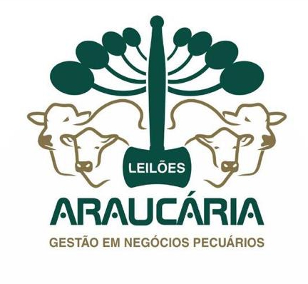 araucária